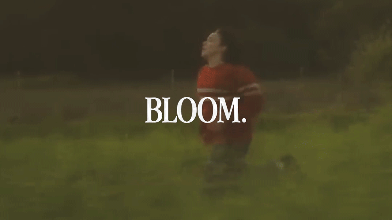 BLOOM: The New Wave of Pop